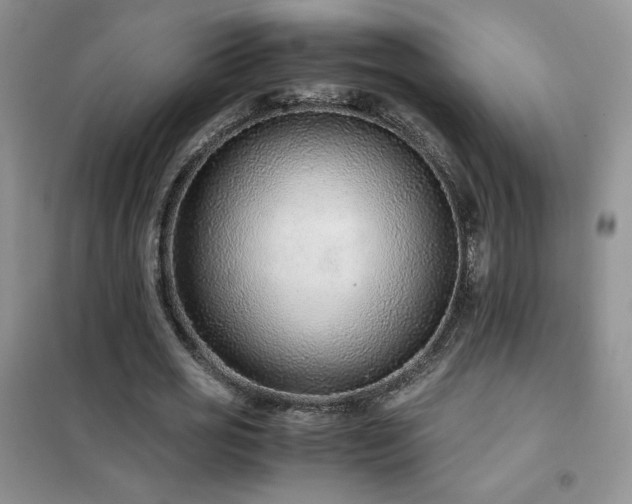 X0000102380725200808011536