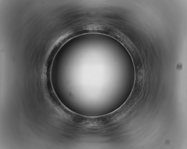 X0000102380727200808011536