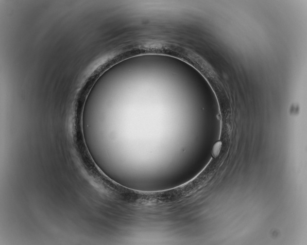 X0000102380728200808011536