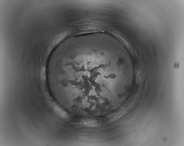 X0000102380729200808011536