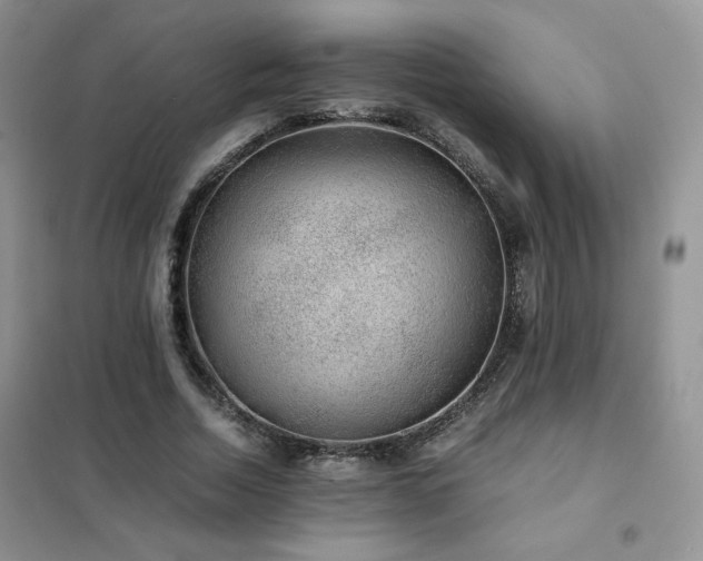 X0000102380730200808011536