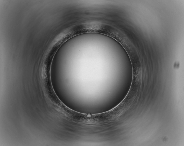 X0000102380731200808011536