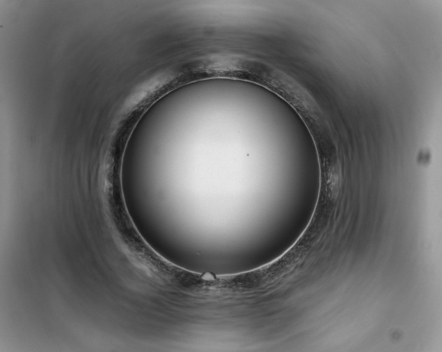 X0000102380732200808011536