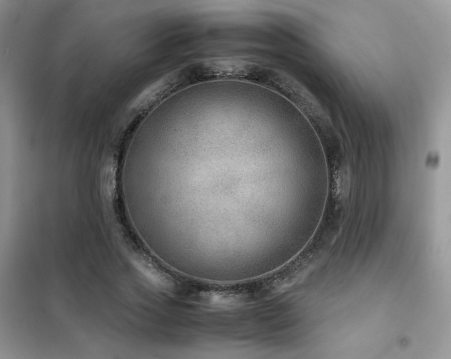 X0000102380733200808011536