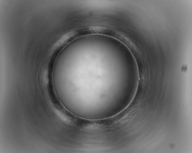 X0000102380734200808011536