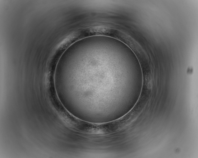 X0000102380735200808011536