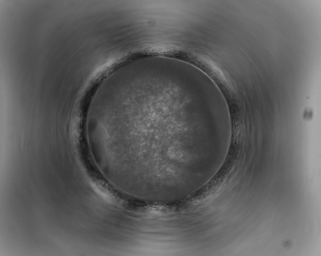 X0000102380736200808011536