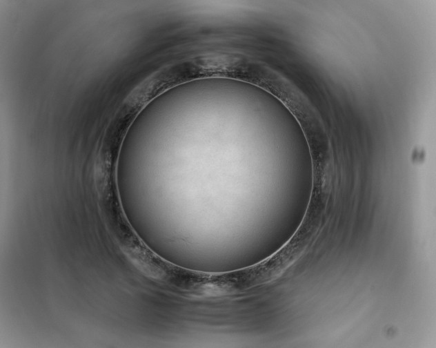 X0000102380737200808011536