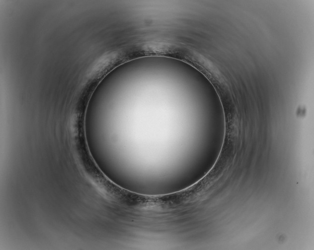 X0000102380738200808011536