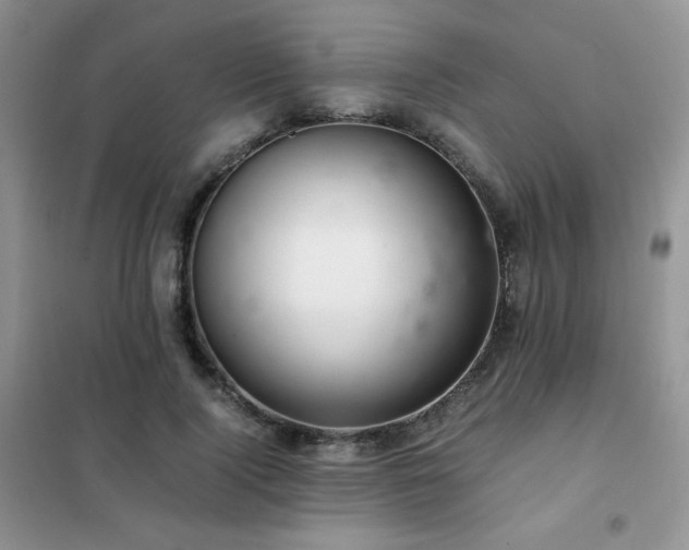 X0000102380740200808011536