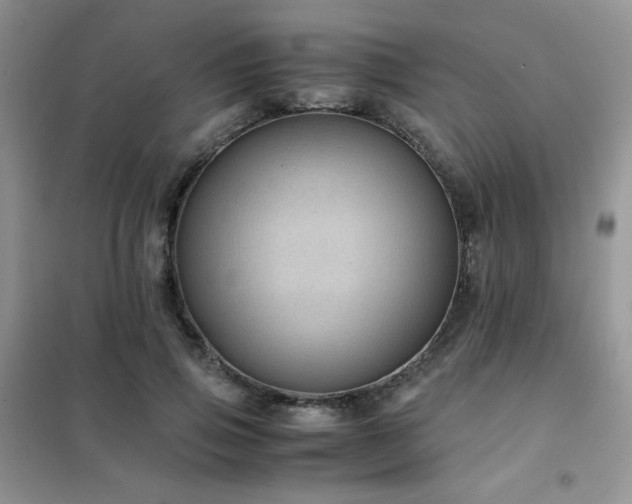 X0000102380741200808011536