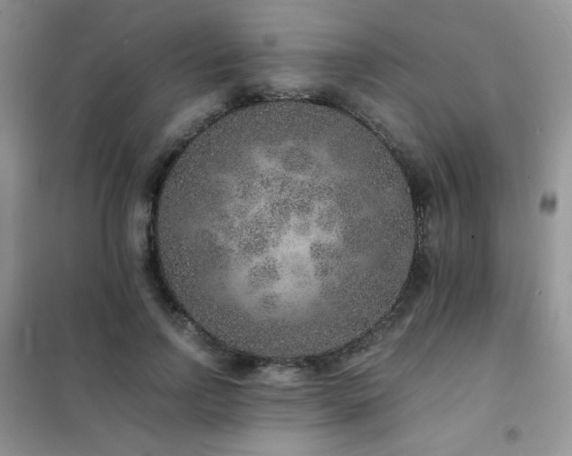 X0000102380742200808011536