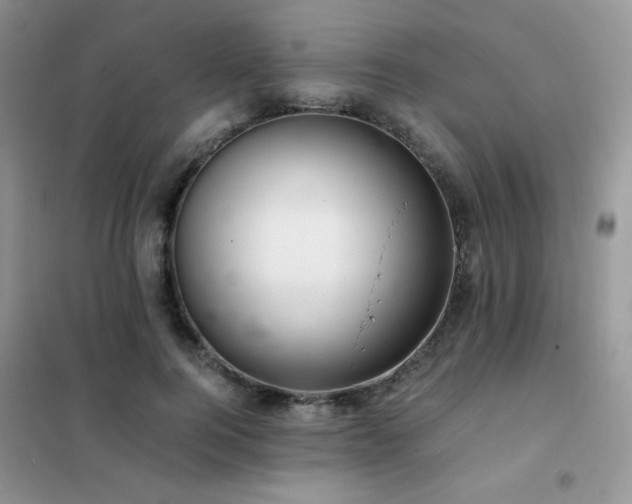 X0000102380744200808011536