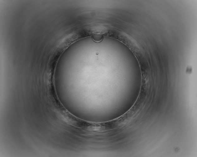 X0000102380745200808011536
