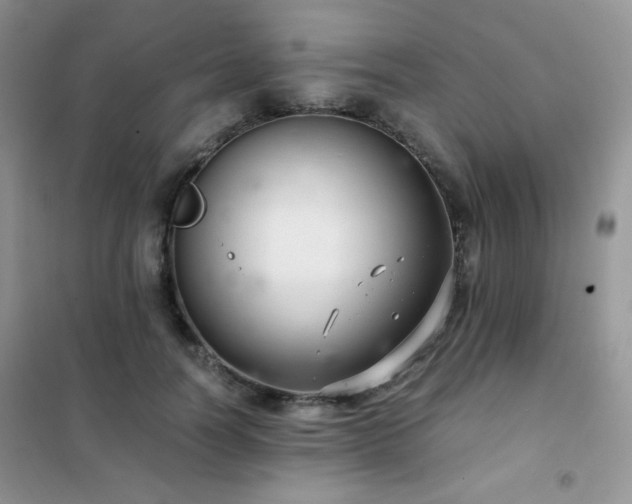 X0000102380746200808011536