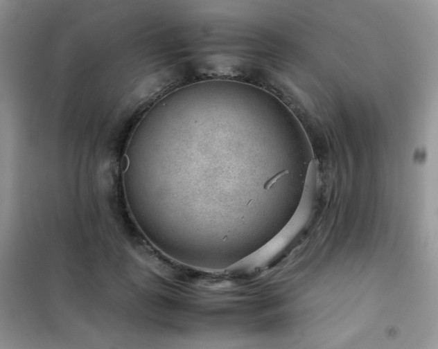 X0000102380747200808011536