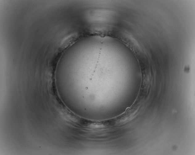 X0000102380749200808011536