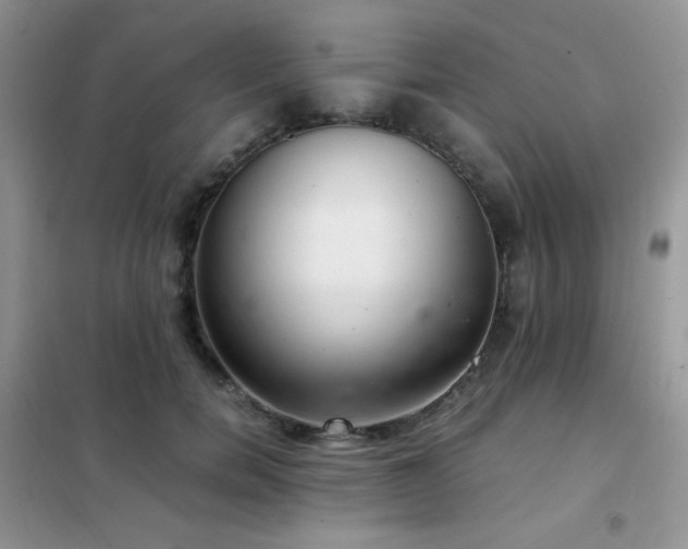 X0000102380750200808011536
