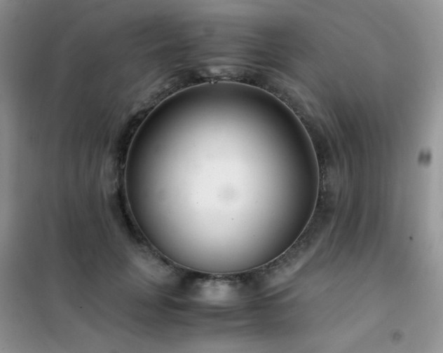 X0000102380751200808011536