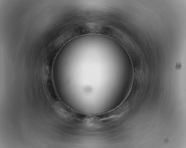 X0000102380752200808011536