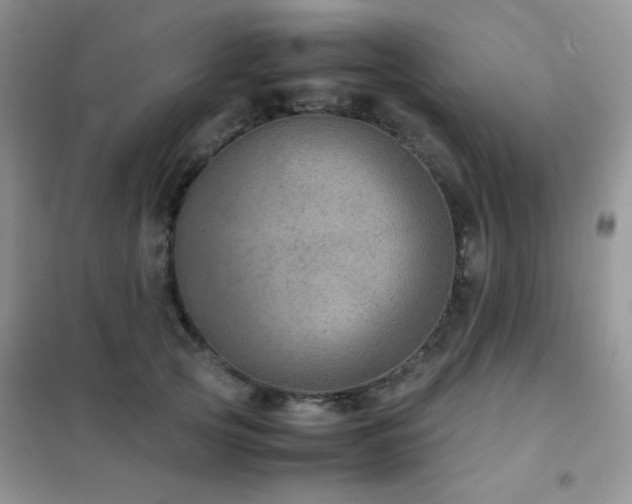 X0000102380753200808011536