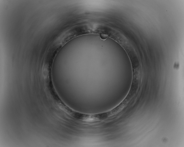X0000102380754200808011536