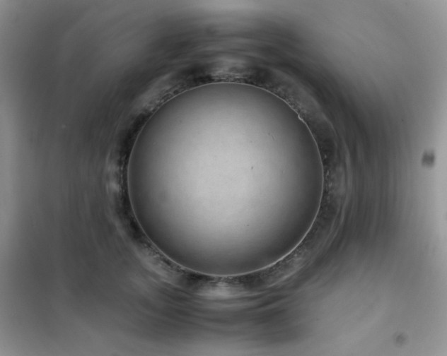 X0000102380755200808011536