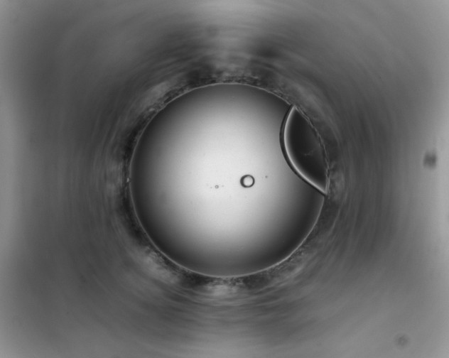 X0000102380756200808011536
