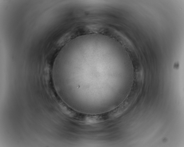 X0000102380757200808011536