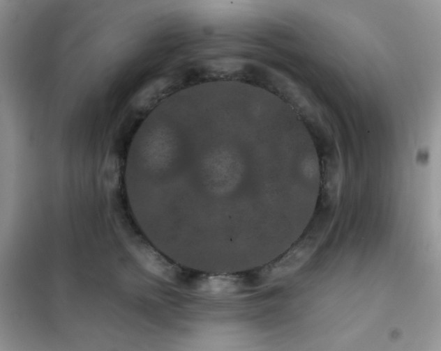 X0000102380758200808011537