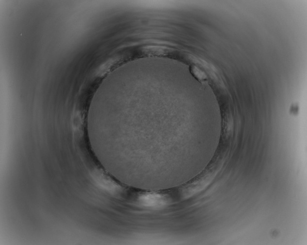 X0000102380759200808011537