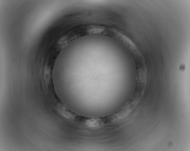 X0000102380761200808011537