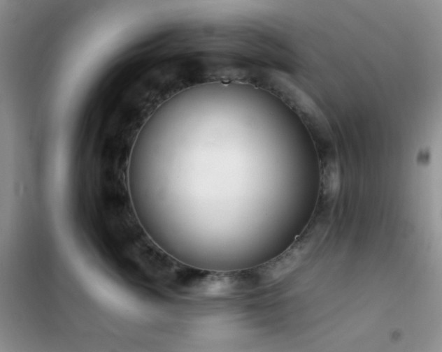 X0000102380764200808011537