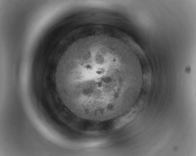 X0000102380765200808011537