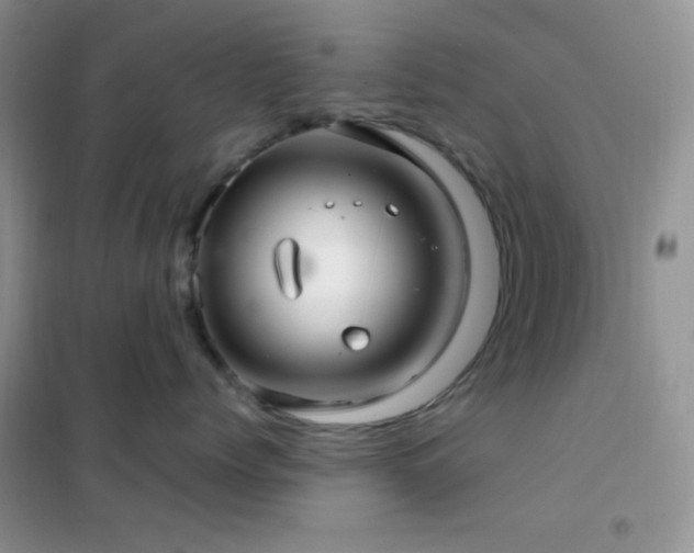 X0000102380768200808011537