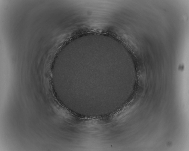X0000102380769200808011536