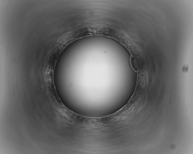 X0000102380770200808011536