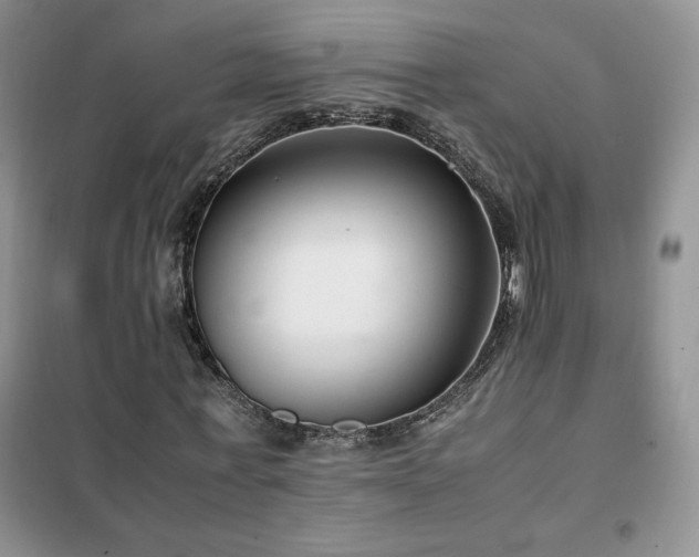 X0000102380771200808011536