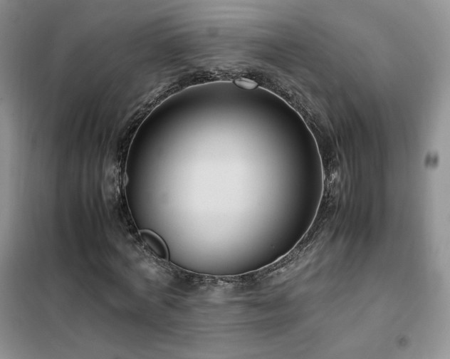 X0000102380772200808011536