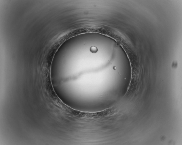 X0000102380773200808011536