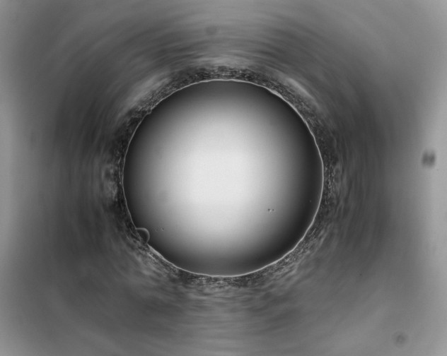 X0000102380774200808011536