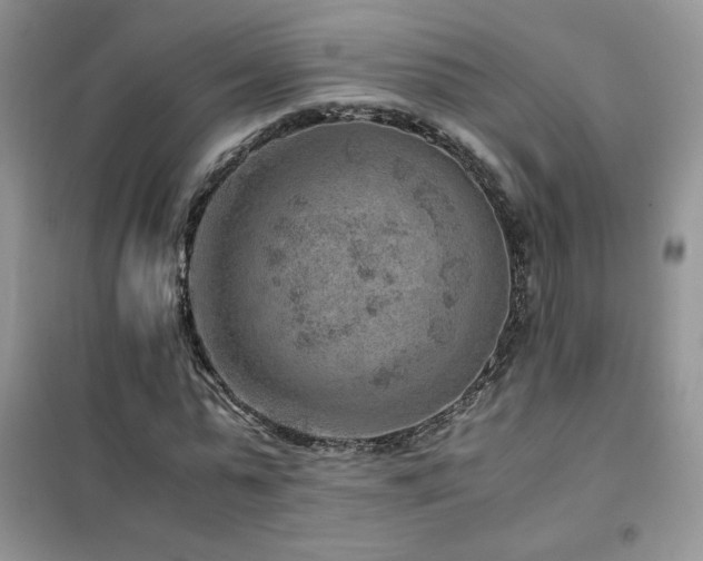 X0000102380775200808011536