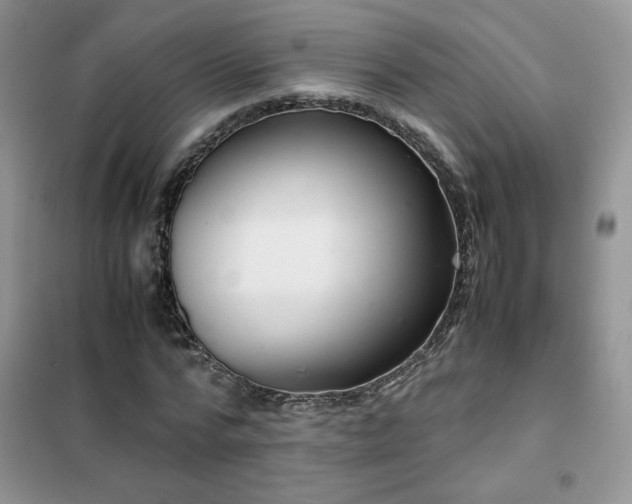 X0000102380776200808011536