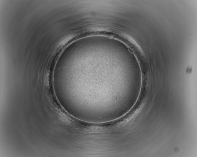 X0000102380777200808011536