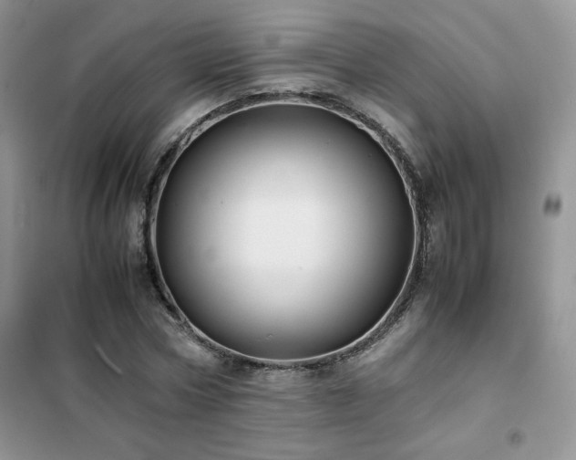 X0000102380778200808011536