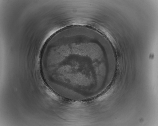 X0000102380779200808011536