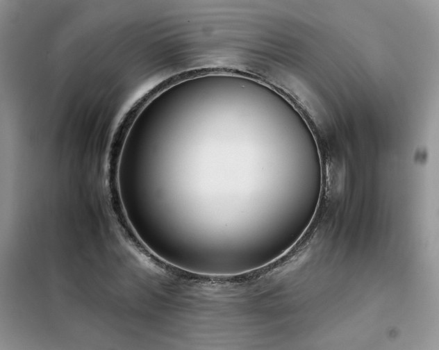 X0000102380780200808011536