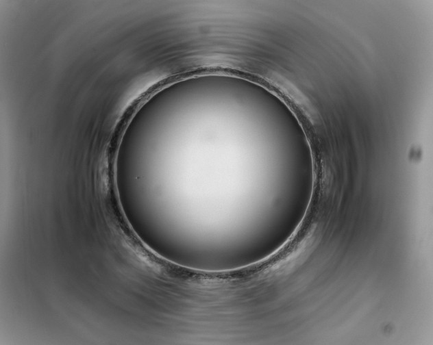 X0000102380782200808011536