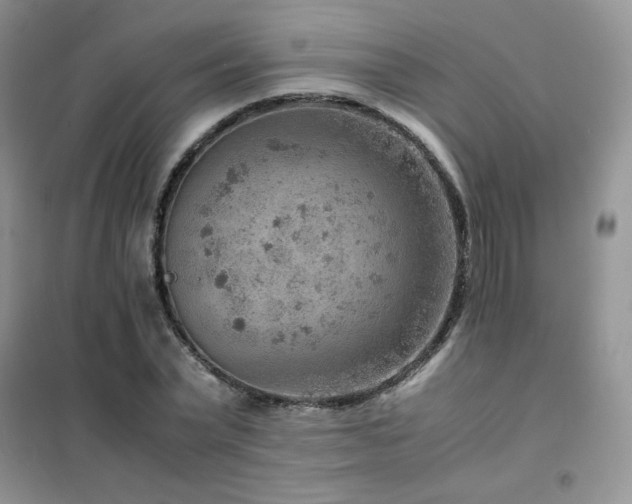 X0000102380783200808011536