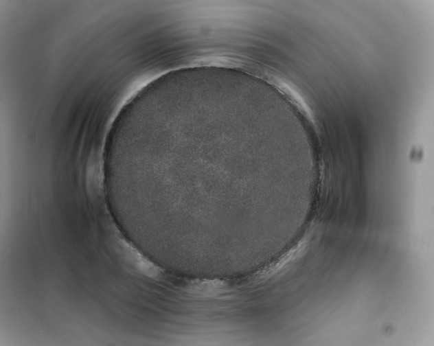 X0000102380784200808011536